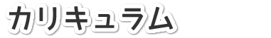 カリキュラム
