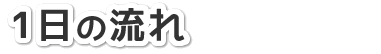 1日の流れ